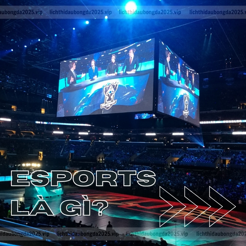 ESports là hình thức thi đấu trò chơi điện tử dành cho tuyển thủ chuyên nghiệp