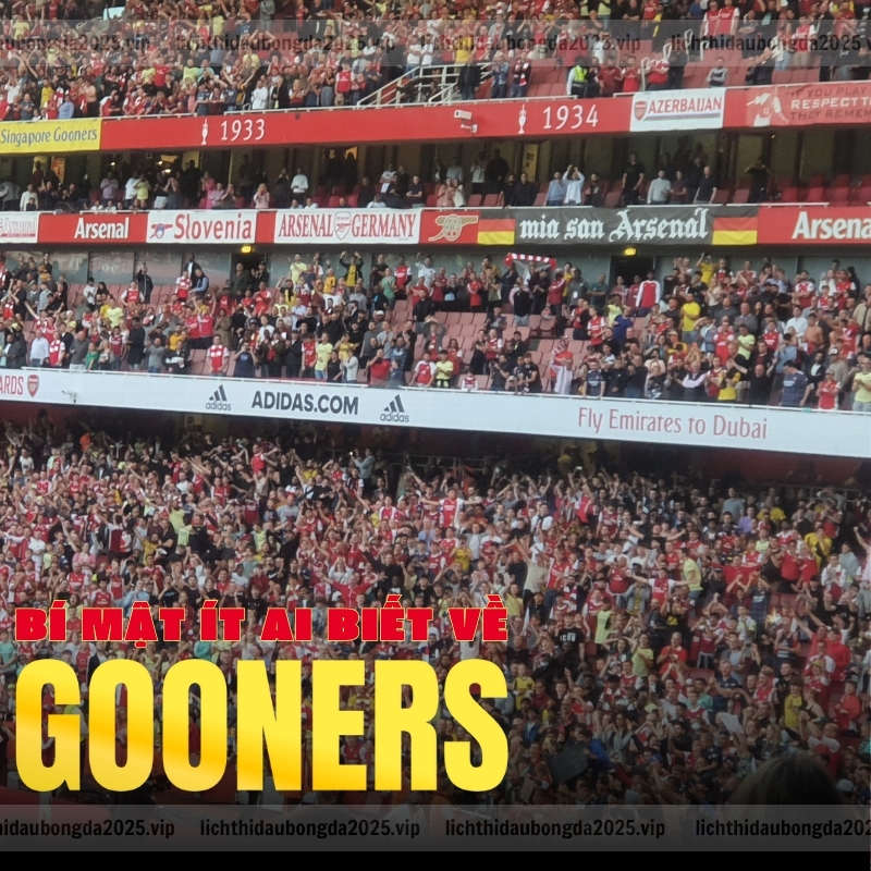 Cổ động viên Gooner là gì